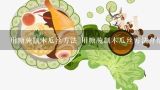 用糖腌制木瓜丝方法 用糖腌制木瓜丝方法介绍,腌木瓜的做法 腌木瓜的做法简单介绍